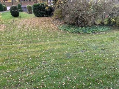 100m Sackgasse, Zone 30 Km/h, modern, Hochparterre,  oder vermieten?