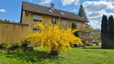 Renovierte Wohnung mit 2ZKB, SW-Balkon in Buchen - Hainstadt