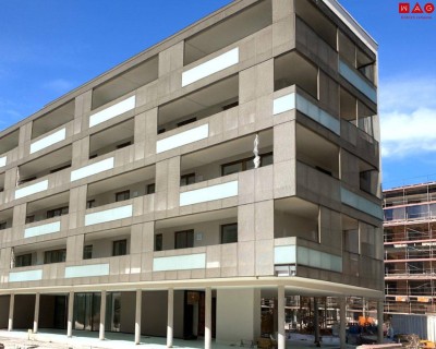 Sonnenorientiertes Wohnen im obersten Stockwerk für Energiebewusste