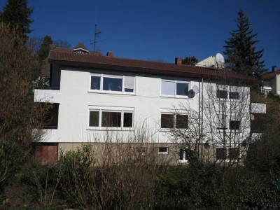 1,5-2 Zimmer EG-links Südhang-Halbhöhenlage