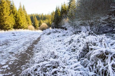 Draußen frostig, drinnen gemütlich - Freie Sonderplanung