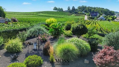 Reserviert - Zwischen Weinbergen im Kaiserstuhl – Traumhaus mit Gartenparadies und Panoramablick