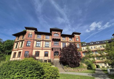 SCHMUCKSTÜCK IM WEINBERGPALAIS! EXKLUSIV WOHNEN, 2.OG+DACHTERR., PARKETT, KAMIN,  GWC, TG/SP ..... !