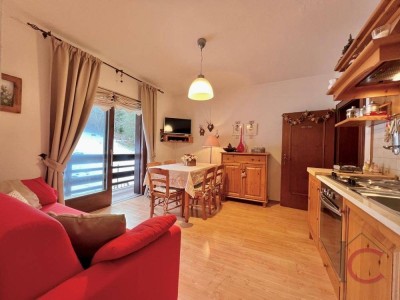 Entzückendes 3-Zi.-Apartment mit Balkon nahe der Skipiste in ruhiger Lage