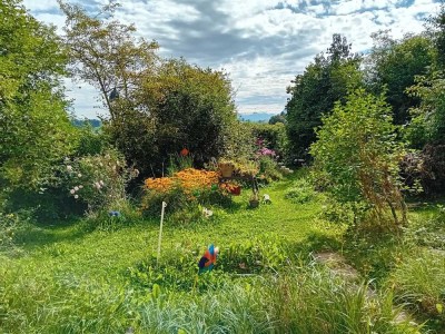 Erdgeschoßwohnung mit großem Garten und Ausblick