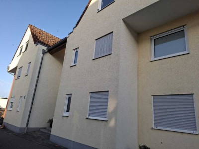 Geschmackvolle,renovierte 3-Zimmer-Wohnung,gehobene Innenausstattung,EB-Küche+Balkon+TG in Budenheim