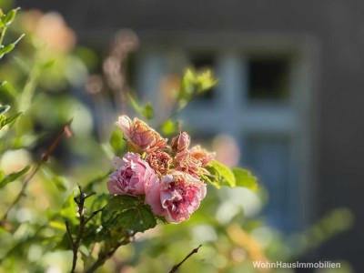 Zum Wachküssen: Grundstück bzw. Haus in Panketal an der Dranse