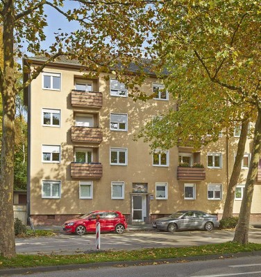 Renovierte 3 Raum Wohnung in gepflegtem Mehrfamilienhaus