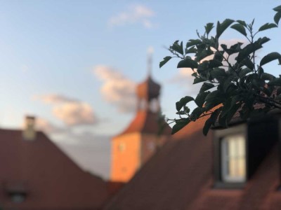 Möblierte 2,5 Zimmer Maisonette mit Ausblick, Dachterrasse und EBK in einmaliger Altstadtlage.