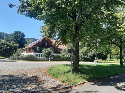 Große Wohnung in altem Bauernhaus mit Terrasse