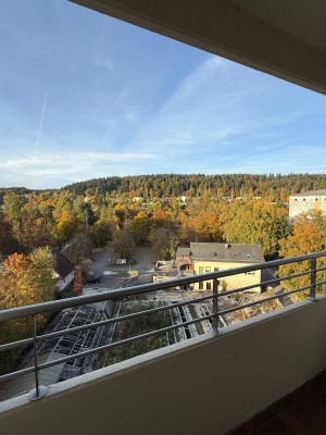 Neu sanierte Wohnung inkl. Parkplatz
