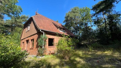 Einfamilienhaus auf großzügigem Grundstück mit altem Baumbestand wartet auf eine Wellnessbehandlung