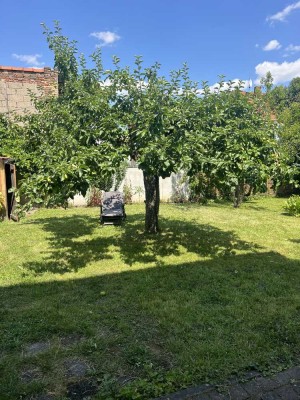 Helle 1,5 Zimmer mit Gartennutzung Offenbach Rosenhöhe