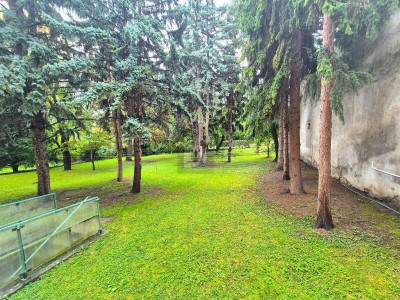 WOHNOASE MIT GRÜNBLICK UND WOHLFÜHLATMOSPHÄRE