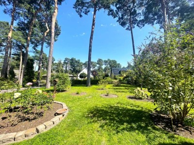 Provisionsfrei! Bungalow in traumhafter Lage in der Waldsiedlung von Wildau!