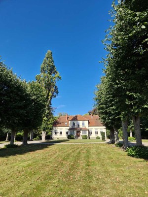 kleines Herrenhaus im Grünen mit Ostseenähe