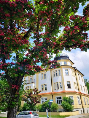 Restrukturiertes großes Nebengebäude im Garten einer großen Villa