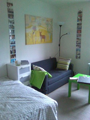 Ansprechende 1,5-Zimmer-Wohnung in Heidelberg