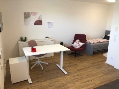 Stilvolle 1-Raum-Hochparterre-Wohnung mit gehobener Innenausstattung mit EBK in Bamberg