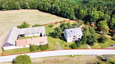 [06646] Verwirklichen Sie Ihren Traum: Wohnhaus mit Vierkanthof!