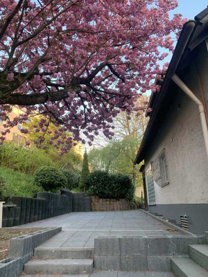 Freistehendes Einfamilienhaus mit Schwimmbad, Sauna und großem Grundstück