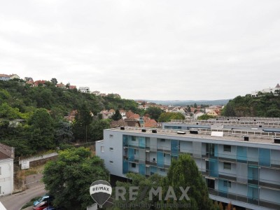 "Logenplatz auf Krems"