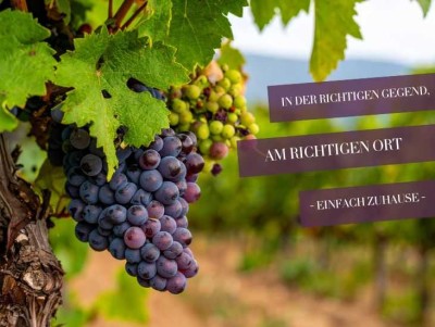 Erstbezug Doppelhaushälftein Fellbach-Öffingen: PV-Anlage, Luft-Luft_Wärmepumpe - ab sofort