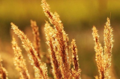 Gehobene Doppelhaushälfte mit höchstem Komfort - Ihre neue Wohlfühloase