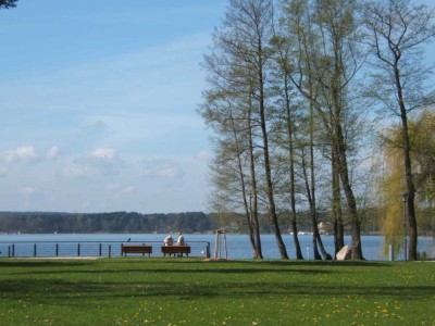 Die ideale Familienwohnung!