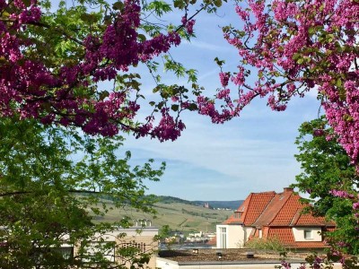 Traumhaften Blick zum Rheingau und Abtei St. Hildegard, 4 Zimmer ETW