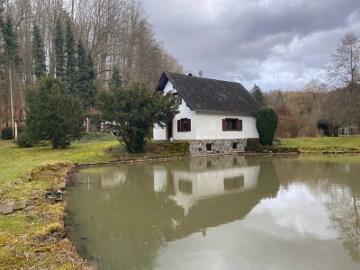 freistehendes Einfamilienhaus mit großem Grundstück und Teich (835 m²) mit EBK in  Gonterskirchen