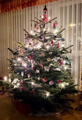 GENIESSEN SIE IHR FAMILIENWEIHNACHTEN 2026 IN IHREM NEUEN HAUS IM GRÜNEN! TEL. 01714863595