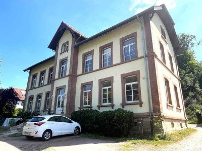 Idyllische 1-Zimmer-Wohnung mit Charme - Bensheim-Zell
