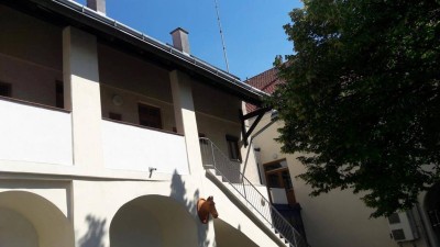 Loosdorf, 3 Zimmer, 75 m² / 03500 00039