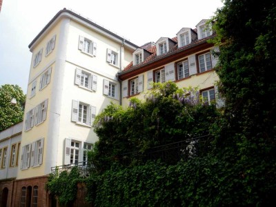 HD-Altstadt, Nähe Bergbahn/Schloß, 3-Zi-Whg möbliert - Historic City Centre - fully furnished