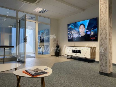 Büro oder Praxis und Business-Apartment, vollmöbliert, mit Stellplatz - Zwickau - Reinsdorf - im Ver