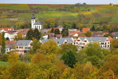 Weitblick! Exklusive, großzügige 3-Zi-Wohnung in Jugenheim