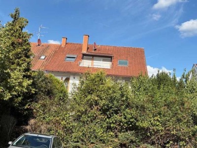 Landau-Godr. 1x3 od 1x4 Zi/KüB/WCBalk Wohnungen(je ab 995E+NK) für 1 o 2 Fam. o WG zu vermieten