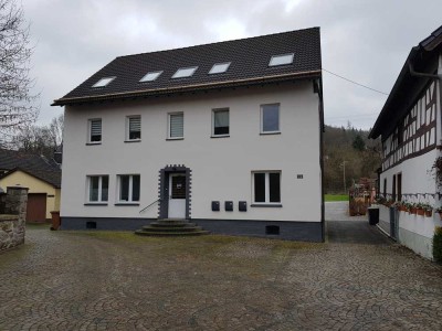 Renovierte 4-Zimmer Wohnung mit Garten in Peterslahr