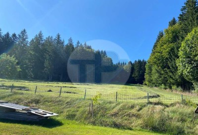 TRAUMHAFT SCHÖNES UND URIG / MODERNES BAYERWALD ANWESEN