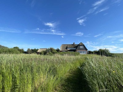 Unter Reet und weitem Himmel