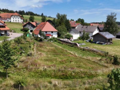 Hotzenhaus in ruhiger Lage & mit viel Platz