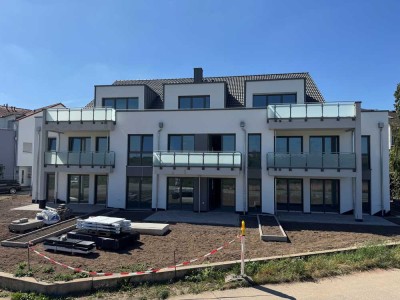 **Neubau-Wohnungen am Rande der Felder in Bischofsheim**