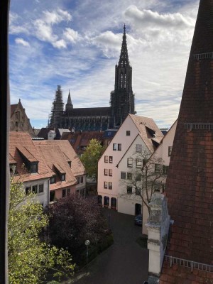 Erstbezug nach Renovierung