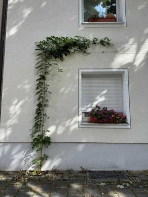 2,5 Zimmer-Wohnung in Neu Ulm zu vermieten