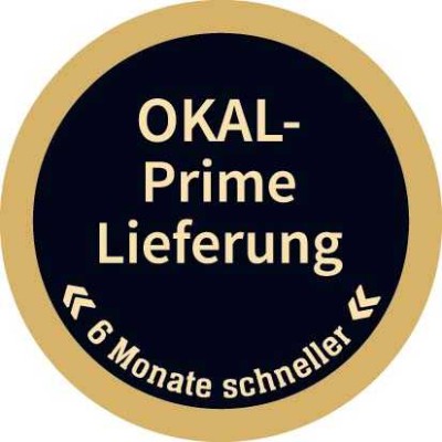 OKAL- Prime-Lieferung! Pultdachhaus für Individualisten !