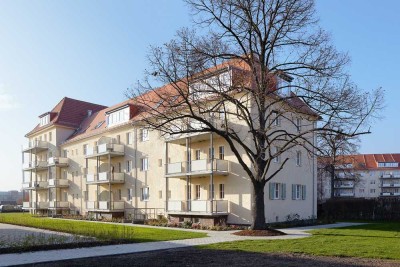 *** schöne 2-Zimmer-Whg. in den Seidnitzer Gärten ***