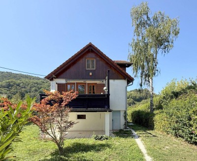 Im Spiegel der Elemente – Eigengrund am Silbersee!