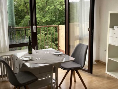 Möblierte 1-Zimmer-Wohnung mit Balkon in Würzburg Innenstadt
