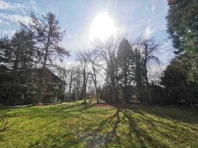 Exklusives Grundstück mit Entwicklungspotenzial und außergewöhnlicher Villa